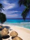 Tamarind Cove 